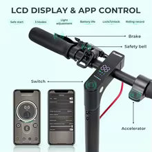 Electric Scooter 350W 7.5Ah Scooter for Adults